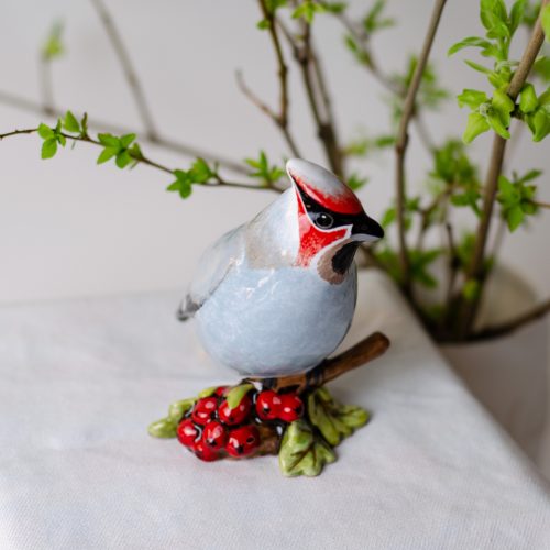 Свиристель на ветке фото