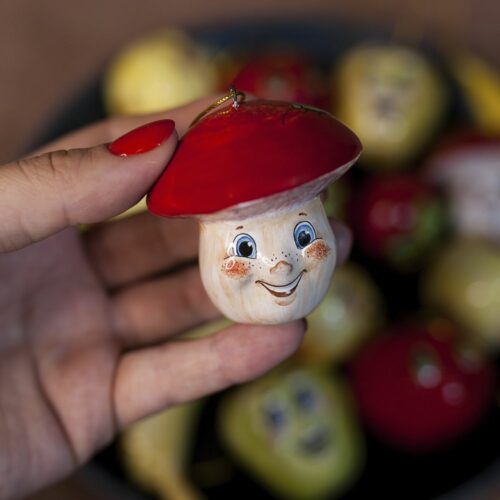 Гриб эмоции фото