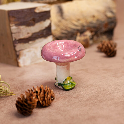 Гриб Волнушка глазурь фото