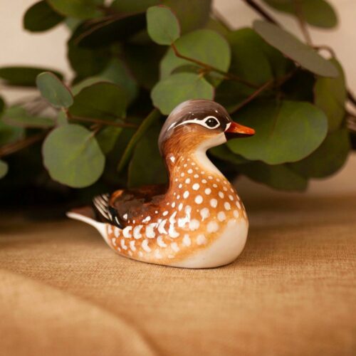 Уточка Мандаринка фото